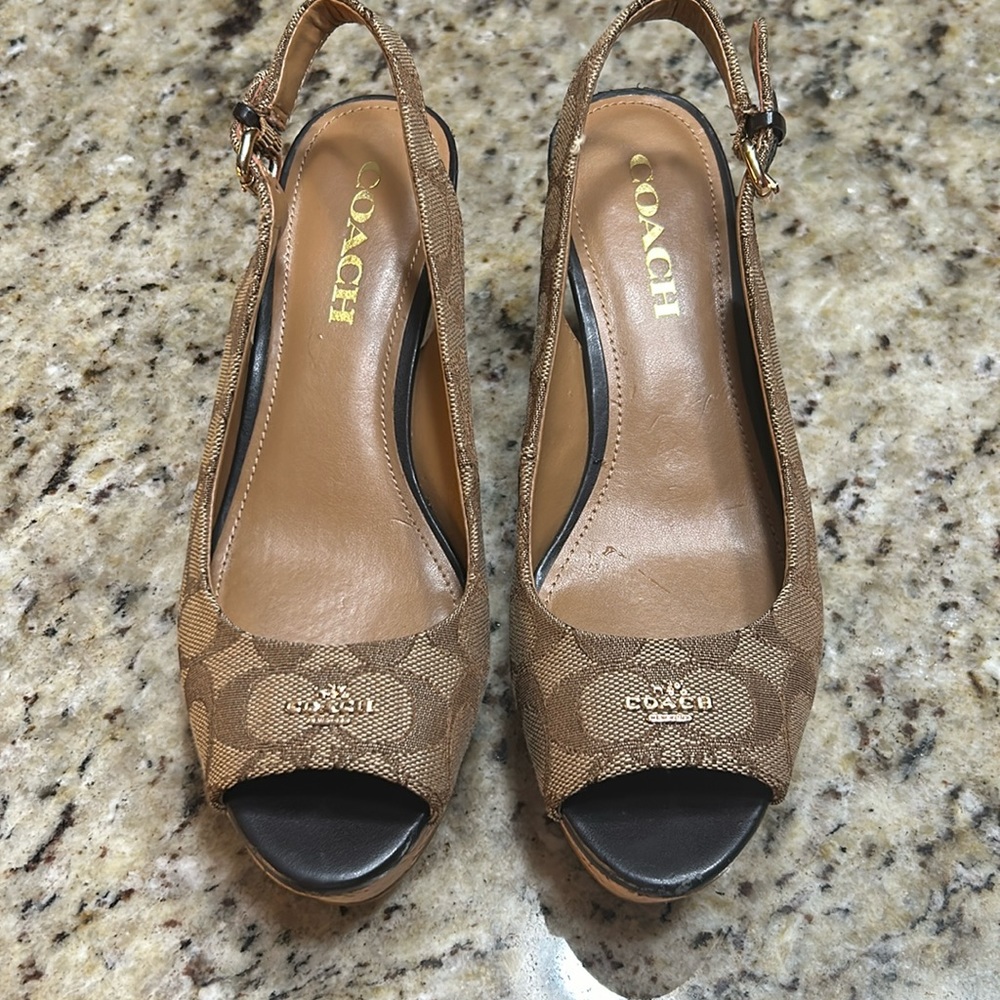 Coach Platform Wedge Sandals